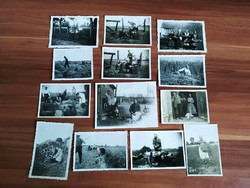 13 db kisméretű fotó, mezőgazdasági munka, kaszálás, betakarítás, stb, 1930-40-es évek körüli