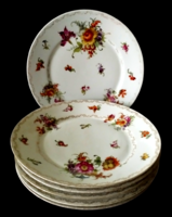 Set of 6 beautiful antique carl knoll karlsbad porcelain flat plates