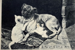 Antik metszetszerű grafikus üdvözlő képeslap -  cicák és kutyus