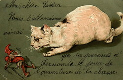Antik dombornyomott üdvözlő képeslap - cica és  a játék bohóc  1904ből