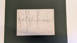 Lajos Cziráki: park detail trees pencil drawing