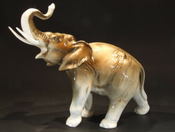 Great royal dux elephant (070401)