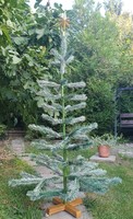 Old Russian artificial pine with snowy effect, Christmas tree, 145 cm high