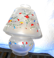 Hand-painted glass lamp shade with a special shape