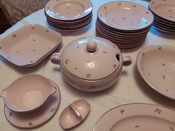Thum bohemian antique porcelain 43-piece tableware