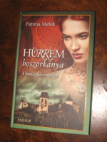 The witch of Hürrem, the harem lady of Buda