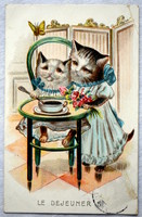 Antik humoros grafikus litho képeslap cica szeretet