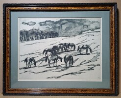 Lajos Novák: horses (etching in frame) animals, grazing horses in the field