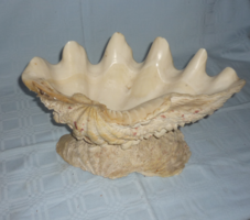Gyönyörü asztalközép. kagylótál./Madagaszkári óriáskagyló/