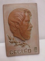 Dr. Rank ceramic wall decoration (lajos kossuth cegled)