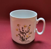 Porcelán csésze bögre kamilla virág mintával botanikai Matricaria Chamomilla