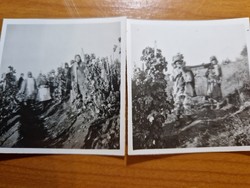 2 pcs made from old grape harvest. Photo sold together