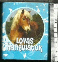 Minibook - equestrian moods (photos, writings)