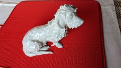 Antik herendi  porcelán kutya figura