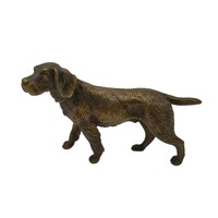 Vienna bronze-German Vizsla-m00871