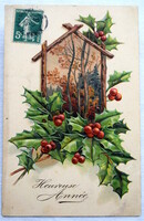 Antique embossed New Year greeting card - holly, winter landscape in a bird feeder from 1907