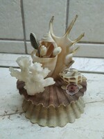 Shell ornament for sale!!