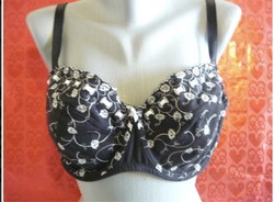 Embroidered lace bra 90/c new