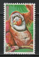 Animals 0460 Equatorial Guinea