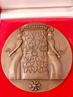 Ligeti Erika  Kiváló Társadalmi Munkáért FÓT Nagyközség Tanácsa bronz plakett  10,3 cm saját doboz