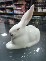 Red-eyed bunny from Ravenclaw House