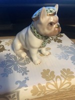 Pikkelymintás Herendi francia bulldog kutya