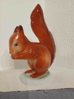 Cute squirrel from Raven House