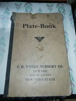 G.H. Weeks Nursery co Plate Book Nagyon ritka gyűjteményből 167.