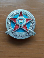 Bm deputy officer training school badge #