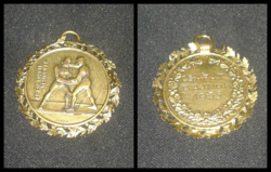 Team champion 1936 Horthy award