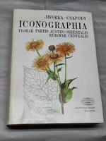 Jávorka-csapody: iconography...flora of the south-eastern part of Central Europe in pictures 40+ with 576 pictures