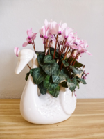 Large swan-shaped bowl, porcelain bowl