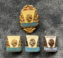 Ignatius Semmelweis loyalty badge series for the health of the people