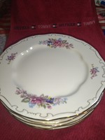 Beautiful Zsolnay gold feathered flower pattern 6 piece flat plate, never used
