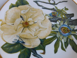 Vadvirágok (passiflora, kamélia) - Mississippi-delta - Franklin porcelán