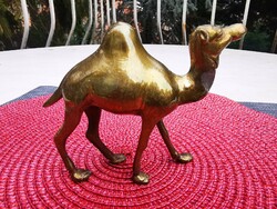 Old copper camel