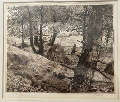 Scultéty year: forest road - etching