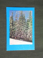 Card calendar, Yugoslavia, Serbian, verse, forest detail, 1979, (4)