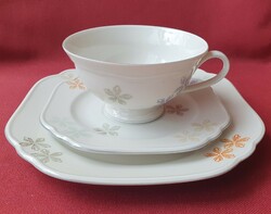 Lettin German porcelain breakfast set coffee tea cup saucer small plate with flower pattern plate