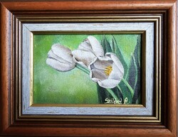 Solid aniko: tulips; 10x15cm, acrylic, canvas + canvas frame