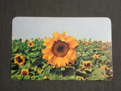 Card calendar, apple farm, sunflower production system, 1980, (4)