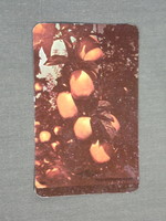 Card calendar, Kiskunhalas state farm, apple tree, 1981, (4)
