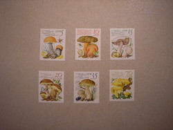 Germany, DDR flora, fungi 1980