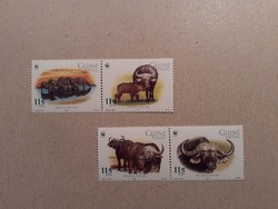 Fauna of Guinea Bissau, wwf, Kaffir buffalo 2002
