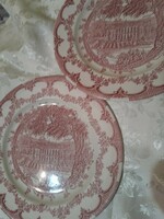 English pink plate