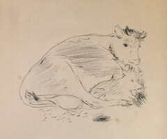 Close-up of Marcel (1895 - 1961) with a cow's calf
