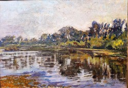 Laura Mészöly (1919-1990) bodrog coastal landscape, gallery painting