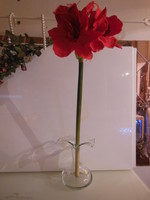 Flower - amaryllis - 62 x 20 cm - 4 funnels - silk flower - true to life