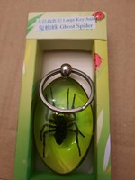 Ghost spider keychain, large size, real insect, negotiable