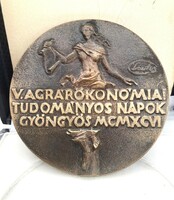 Lantos Györgyi (1953-): bronz plakett, Agrárökonómiai Tudományos Napok Gyöngyös, 1996 - ritkaság